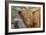 1161 Zoo Animals-Gordon Semmens-Framed Photographic Print