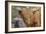 1161 Zoo Animals-Gordon Semmens-Framed Photographic Print