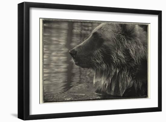 1178 Zoo Animals B&W-Gordon Semmens-Framed Photographic Print