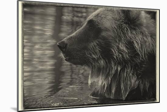 1178 Zoo Animals B&W-Gordon Semmens-Mounted Photographic Print