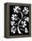 11-Pierre Henri Matisse-Framed Premier Image Canvas