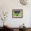 11CO-Pierre Henri Matisse-Framed Giclee Print displayed on a wall