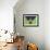 11CO-Pierre Henri Matisse-Framed Giclee Print displayed on a wall
