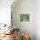 11COF-Pierre Henri Matisse-Giclee Print displayed on a wall