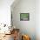 11COF-Pierre Henri Matisse-Framed Premier Image Canvas displayed on a wall