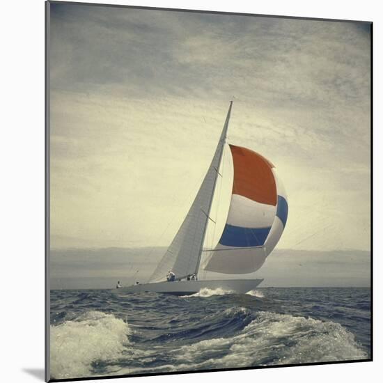 12-m. Yacht Nefertiti, Designed by Ted Hood, Sailing Through Waves at Pre America's Cup Test Run-George Silk-Mounted Photographic Print