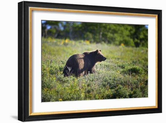 120-Glacier-2016-Gordon Semmens-Framed Photographic Print