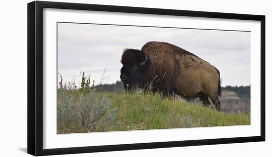 1205 Badlands-Gordon Semmens-Framed Photographic Print