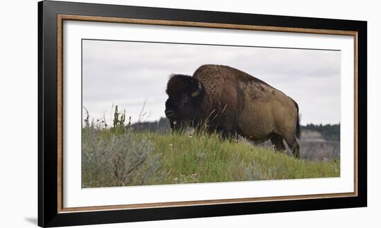 1205 Badlands-Gordon Semmens-Framed Photographic Print