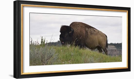 1205 Badlands-Gordon Semmens-Framed Photographic Print