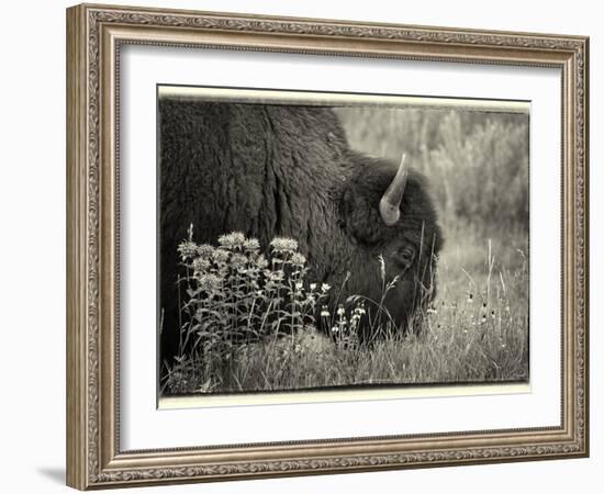 1222 Badlands B&W-Gordon Semmens-Framed Photographic Print