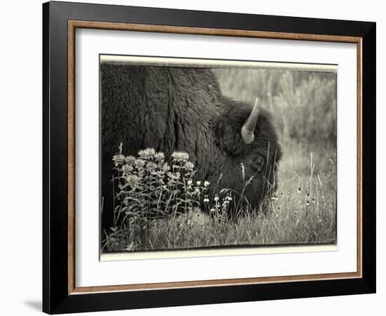 1222 Badlands B&W-Gordon Semmens-Framed Photographic Print