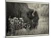 1222 Badlands B&W-Gordon Semmens-Mounted Photographic Print