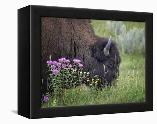 1222 Badlands-Gordon Semmens-Framed Premier Image Canvas