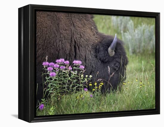 1222 Badlands-Gordon Semmens-Framed Premier Image Canvas