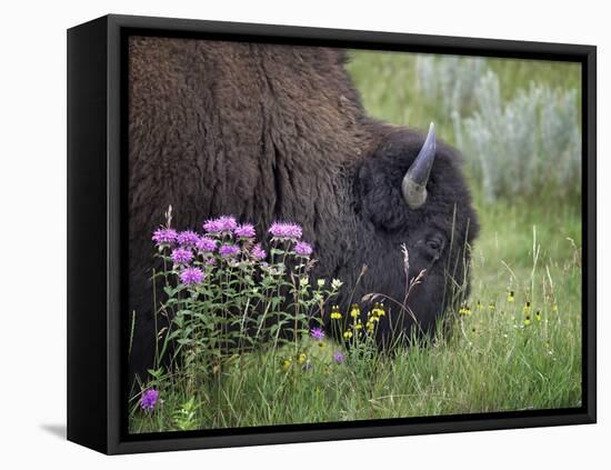 1222 Badlands-Gordon Semmens-Framed Premier Image Canvas