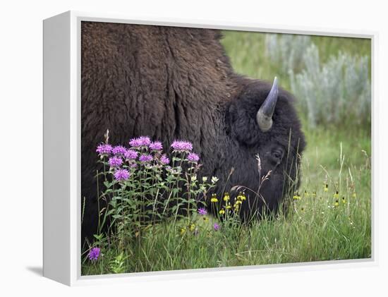 1222 Badlands-Gordon Semmens-Framed Premier Image Canvas