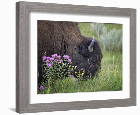 1222 Badlands-Gordon Semmens-Framed Photographic Print