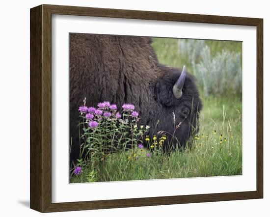 1222 Badlands-Gordon Semmens-Framed Photographic Print