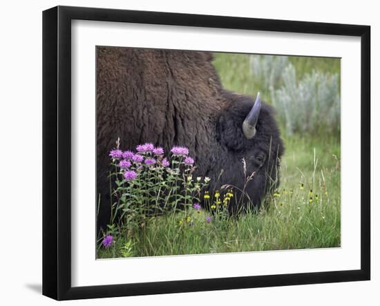 1222 Badlands-Gordon Semmens-Framed Photographic Print