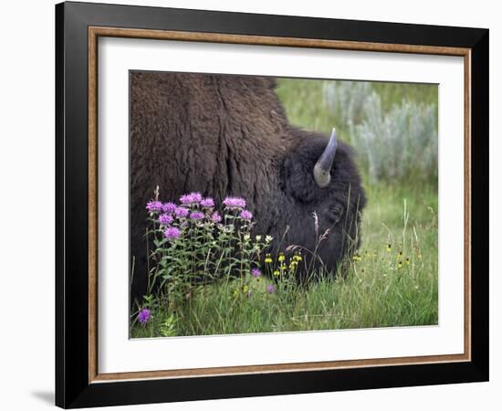 1222 Badlands-Gordon Semmens-Framed Photographic Print