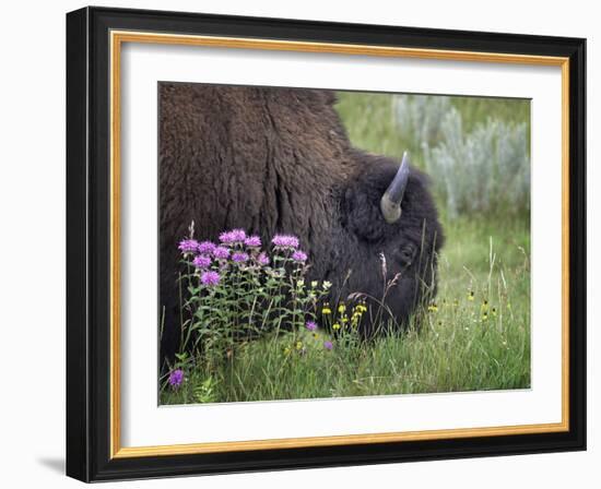 1222 Badlands-Gordon Semmens-Framed Photographic Print