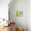 12G-Pierre Henri Matisse-Giclee Print displayed on a wall