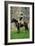 12th Light Dragoons British Soldier with Drawn Sabre, C 1800, Re-Enactment-null-Framed Giclee Print