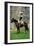 12th Light Dragoons British Soldier with Drawn Sabre, C 1800, Re-Enactment-null-Framed Giclee Print