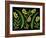 13 Lo 1 Bis 4K-Pierre Henri Matisse-Framed Giclee Print