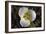 132-Glacier-2016-Gordon Semmens-Framed Photographic Print