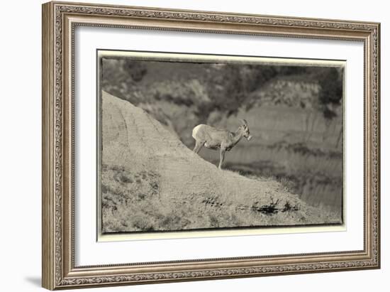 1361 Badlands B&W-Gordon Semmens-Framed Photographic Print