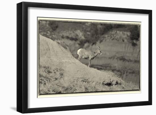 1361 Badlands B&W-Gordon Semmens-Framed Photographic Print