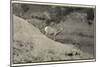 1361 Badlands B&W-Gordon Semmens-Mounted Photographic Print