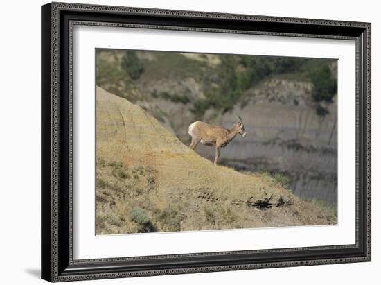 1361 Badlands-Gordon Semmens-Framed Photographic Print