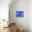 13CO-Pierre Henri Matisse-Giclee Print displayed on a wall