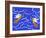 13CO-Pierre Henri Matisse-Framed Giclee Print