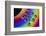 14 Pinballs-Heidi Westum-Framed Photographic Print