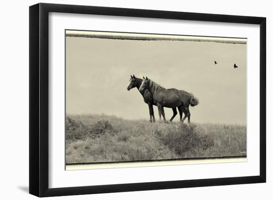 1402 Mustangs Of The Badlands B&W-Gordon Semmens-Framed Photographic Print