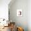 140729-2-Jaime Derringer-Premium Giclee Print displayed on a wall