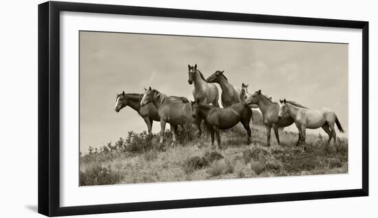 1421-Mustangs-2016-B&W-Gordon Semmens-Framed Photographic Print