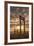 149-Dan Ballard-Framed Photographic Print