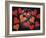 14G-Pierre Henri Matisse-Framed Giclee Print