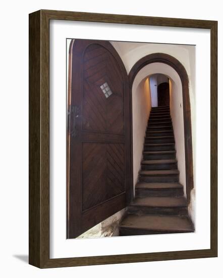 14th Century Bran Castle Detail, Brasov Region, Romania-Gavriel Jecan-Framed Photographic Print