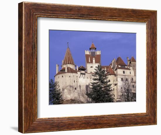 14th Century Bran Castle Detail, Brasov Region, Romania-Gavriel Jecan-Framed Photographic Print