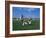 15 Year Old Girls in Action Durring Soccer Game, Lakewood, Colorado, USA-null-Framed Photographic Print