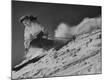 Premium Photographic Print