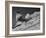 15-Year Old Skiing Prodigy Andrea Mead Lawrence Practicing for Winter Olympics-null-Framed Photographic Print