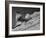 15-Year Old Skiing Prodigy Andrea Mead Lawrence Practicing for Winter Olympics-null-Framed Photographic Print