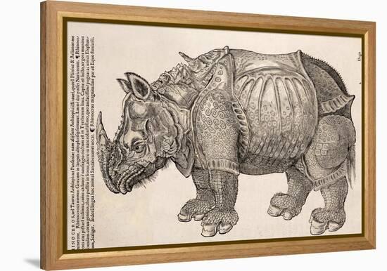 1551 Gesner Armoured Rhino After Durer-Paul Stewart-Framed Premier Image Canvas